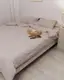 Постельное белье семейное Dushka Home Байка 20671 160х215х2 см светло-серое