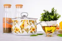 Каструля зі скляною кришкою Infinity Соняшник ED-1181-6510165 2.9 л 18 см