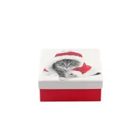 Коробка подарочная ООТВ Santa Cat 12 х 12 х 8 см