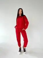 Демисезонный спортивный костюм AO063