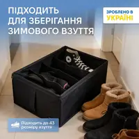 Органайзер для хранения демисезонной обуви на 4 пары ORGANIZE (черный)
