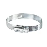 Хомут черв'ячний оцинкований 12.7мм D46-70мм 10шт GRAD (2511455)