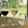 Бокал для белого вина Riedel Degustatione 0489/0 560 мл