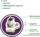 Набор магнитов Magdum "Породы кошек" ML4031-13 EN