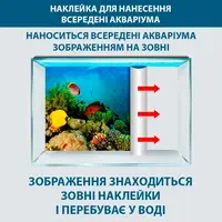 Море для акваріума наклейка з рибами 55х90 див.