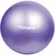 Мяч для фитнеса Toorx Gym Ball 75 cm Purple AHF-013