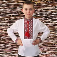 Вышиванка для мальчика Даниил с красной вышивкой