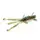Силикон FishUp Shrimp 4.5" #017 Motor Oil Pepper (10080106)