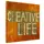 Картина на холсте Creative life 65x65 см (H6565_DVD004)