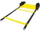 Координационная лестница LiveUp AGILITY LADDER