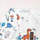 Комплект в пологовий чоловічок з шапочкою Dino city