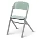 Стульчик для кормления Kinderkraft Livy Olive Green (KHLIVY00GRE0000)