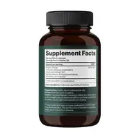 Chaga Mushroom 1000 mg - 60 vegcaps (Повреждена банка)