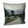 Подушка диванная с бархата On the way 45x45 см (45BP_ORG005)