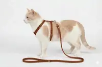 Комплекты для малых собак, кошек, кроликов Кот- капрон коричневый