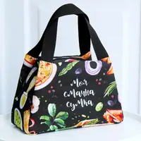 Термосумка Lunch bag Моя смачна сумка 24х12х17 см (LUN_24S019)