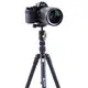 Штатив Vanguard Vesta TB 204AB (Vesta TB 204AB)
