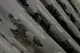 Шторы 2шт.1,5х2,8м. из ткани блэкаут Цвет серый Код 1048ш 30-853
