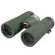 Бинокль Kowa BD II 10x42 XD (11899)