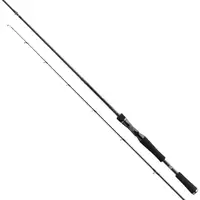 Спиннинг Daiwa Prorex XR BC 2.40м 40-120г / 2161132 / 11339-245