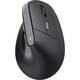 Мышь компьютерная безпроводная Trust Bayo 2 Ergonomic WL Black 25145_TRUST черная