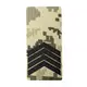 Погон Camotec Старший Сержант (5*10) Пиксель (8784)