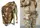 Подсумок аптечка тактическая MOLLE Multicam Arid для РПС, разгрузки или жилета