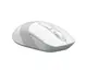 Мышь компьютерная безпроводная A4Tech Fstyler FG10S White белая