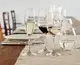 Бокал для шампанского Riedel Degustazione 0489/48 212 мл