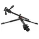 Штатив Vanguard Alta Pro 263AP (Alta Pro 263AP)