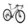 Велосипед MONDRAKER Arid R 28, Golden Silver, M/L