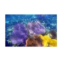 Море для аквариума наклейка с рыбами 40х65 см.