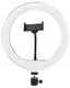 Кольцевая LED лампа CXB-260 диаметром 26 см с пультом Black (5743)