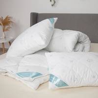 Одеяло евро с подушкой ТЕП Nature Collection Harmony 1-04197_00000 200х210 см