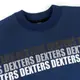 Теплый детский костюм на флисе DEXTERS