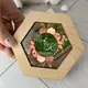 Стильная свадебная коробочка для колец из дерева с акрилом