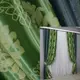 Комбинированные (2шт. 1,35х2,7м.) шторы Софт. Цвет темно-бирюзовый с зеленым. Код 014дк (397-1279шА) 11-0132