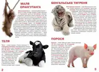 Книга "Велика книга. Дитинчата тварин" (укр)