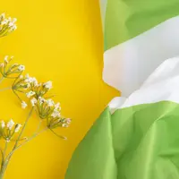 Тканина тентова Оксфорд, 150 см, 160 г/м2, міцна та водостійка для тентів та чохлів смуга салат
