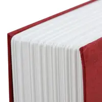 Книга сейф (24см) Словник (чорна)