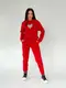 Теплый спортивный костюм AO5055 Красный L/XL