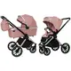 Коляска прогулочная Carrello Optima 2in1 CRL-6503 Hot
Pink