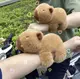 Мягкая игрушка Капибара 21 см · Детский плюшевый браслет на руку