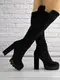 Женские зимние ботфорты Fashion Jammer 1322 36 размер 23,5 см Черный