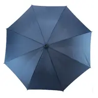Зонт Semi Line Blue (L2037-1)