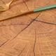 Салфетка сервировочная Дерево 7858 коричневая
