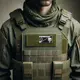 Набор шевронов 2 шт на липучке Флаг Израиль и Череп Карателя Punisher патч нашивка 5х8 см Израиль и Каратель