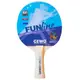 Набор настольного тенниса Gewo Double-Fun (сетка Flexx (103360000)