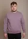 Свитшот мужской однотонный двухнитка GBI Коричневый размер M (12718)