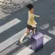 Чемодан Xiaomi Ninetygo Rhine 2.0 24` Purple (6941413248112)